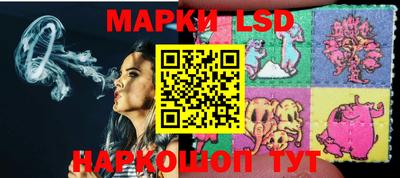 тгк Новодвинск