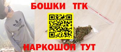 тгк Новодвинск