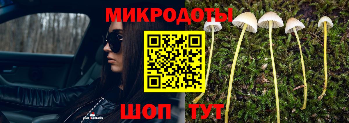 Галлюциногенные грибы MAGIC MUSHROOMS  Галлюциногенные грибы MAGIC MUSHROOMS  Вход с VPN  Урюпинск 